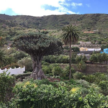 #Ocean View Studio #Wifi Icod De Los Vinos Exteriör bild